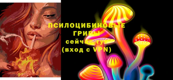 молекула духа Алексеевка