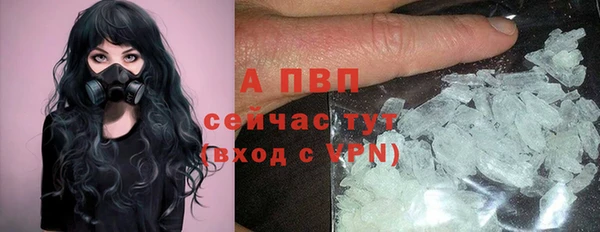 молекула духа Алексеевка