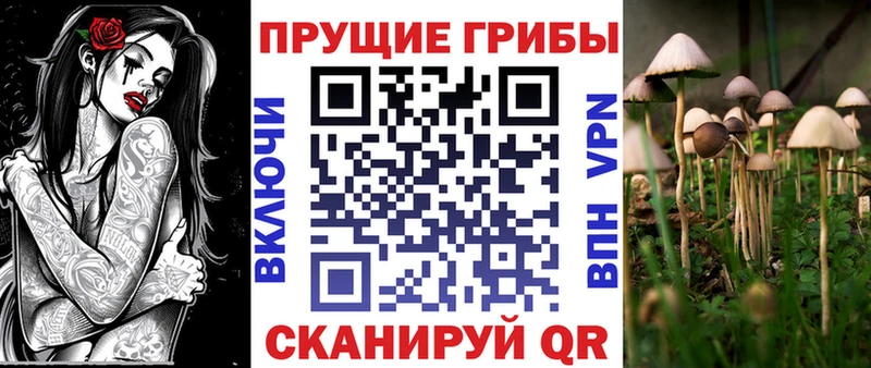 блэк спрут ТОР  Набережные Челны  Псилоцибиновые грибы GOLDEN TEACHER 